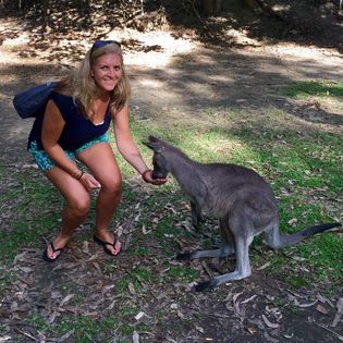 about-kangaroo